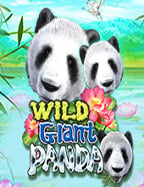 แชร์สูตรชนะ สล็อต jili เครดิตฟรี ไม่ต้องฝาก แบบไม่กั๊ก!