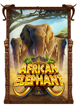 วิธีเล่น px สล็อต ที่คุณต้องไม่พลาด